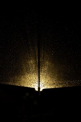 1000018512