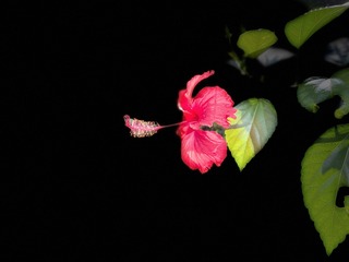 FA47D716-CE24-414A-9AD0-B74190AF6927/L0/001