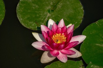 52D6D8EC-CABE-485F-94EE-5D63F4973408/L0/001