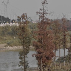 C35EF64E-E043-4420-8924-992308E5A5C9/L0/001