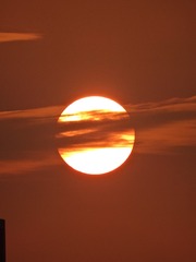 49C9DA1F-B9D9-48F8-8FD5-7DA4ACF8ADDC/L0/001