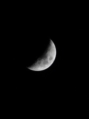 E87B83EF-A165-4EA8-BF64-2D9B68D7D328/L0/001