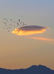 132318