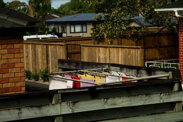 DSC02480.jpg