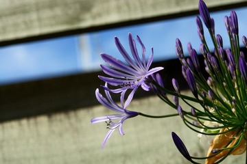 DSC02485.jpg