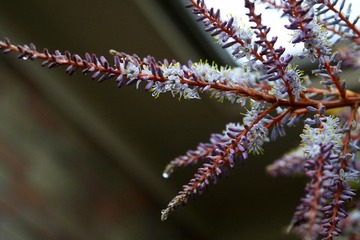 DSC02521.jpg