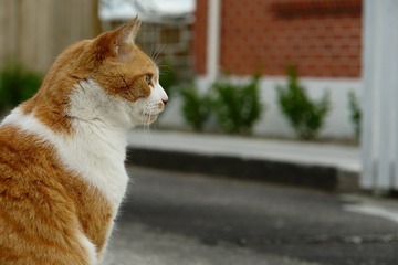 DSC02774.jpg