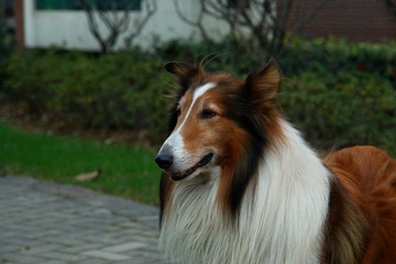 DSC02927.jpg