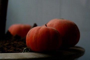 DSC02967.jpg