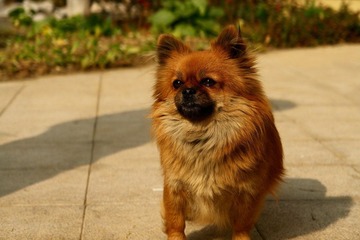 DSC03070.jpg