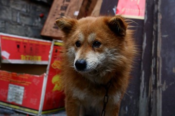 DSC03720.jpg
