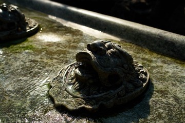 DSC04115.jpg