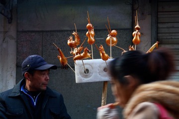 DSC04194.jpg