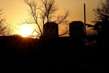 DSC04201.jpg