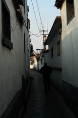 DSC04329.jpg