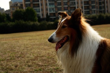 DSC05447.jpg
