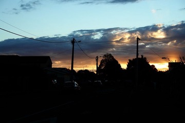 DSC05505.jpg
