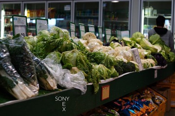 DSC00727.jpg