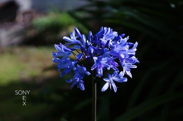 DSC00764.jpg