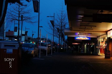 DSC01054.jpg