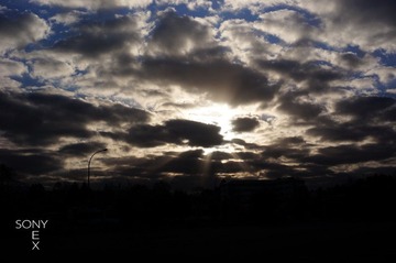 DSC01238.jpg