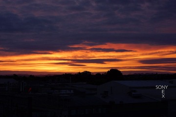 DSC00704.jpg