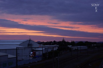 DSC00705.jpg