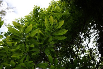 DSC01406.JPG
