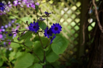 DSC01419.JPG