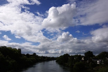 DSC01422.jpg