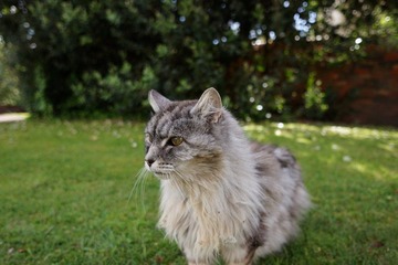 DSC01442.JPG