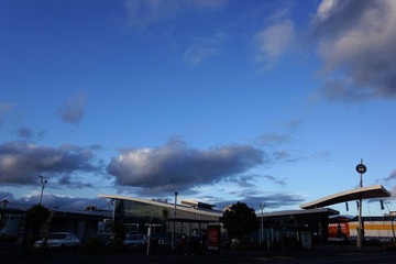 DSC01502.jpg