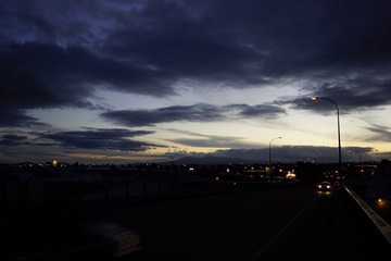 DSC01537.JPG