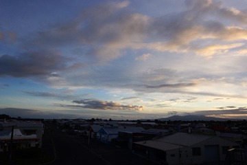 DSC01510.jpg