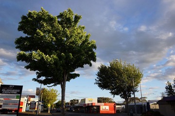 DSC01812.JPG