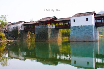 IMG_9661.jpg