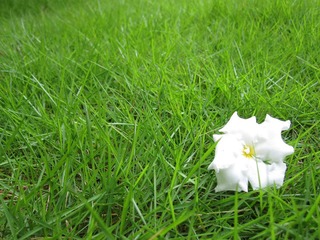 IMG_3275.JPG