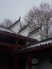 40FDAD45-2BD2-41DC-A0FE-5017161BCA81/L0/001