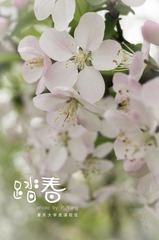 DSC04942.jpg
