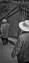 DSC05217.jpg