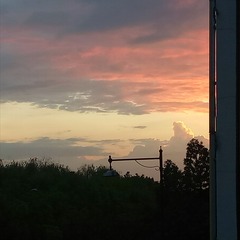342825