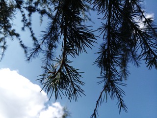 EA2867C1-9E80-4437-BA9C-10224731C389/L0/001