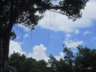 F37CF79D-D53D-43A9-84BC-22FB18C8E391/L0/001