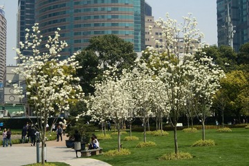 DSC07532.JPG