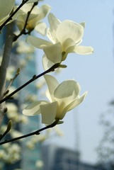 DSC07527.JPG