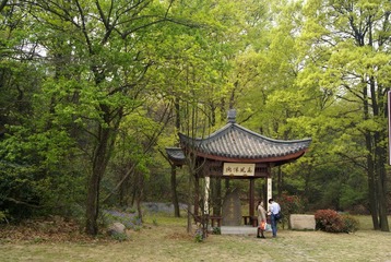 DSC08350.JPG