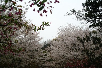 DSC08411.JPG