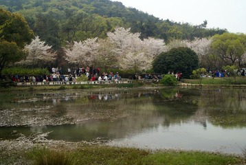 DSC08417.JPG