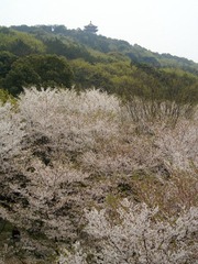 DSC08440.JPG