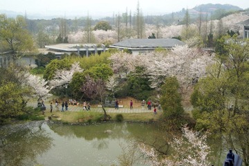 DSC08443.JPG